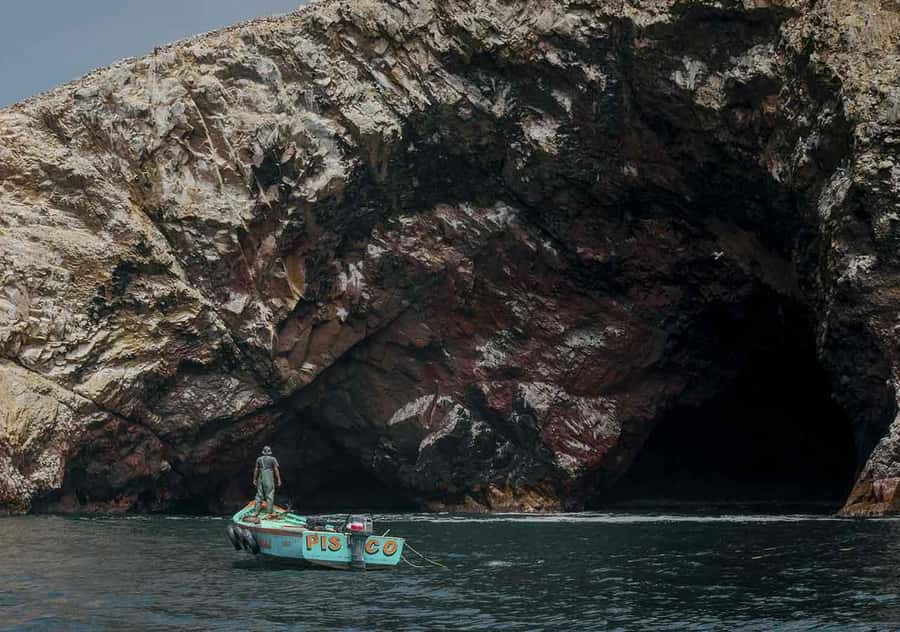 From Lima: Ballestas Islands and Huacachina Sunset Day Trip - Buggies and beginner sandboarding in the Ica dunes