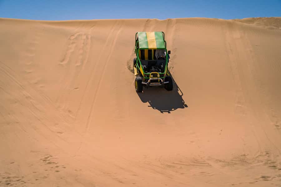 From Lima: Ballestas Islands, Huacachina, and Vineyard Tour - The vineyard and a proper pisco lesson