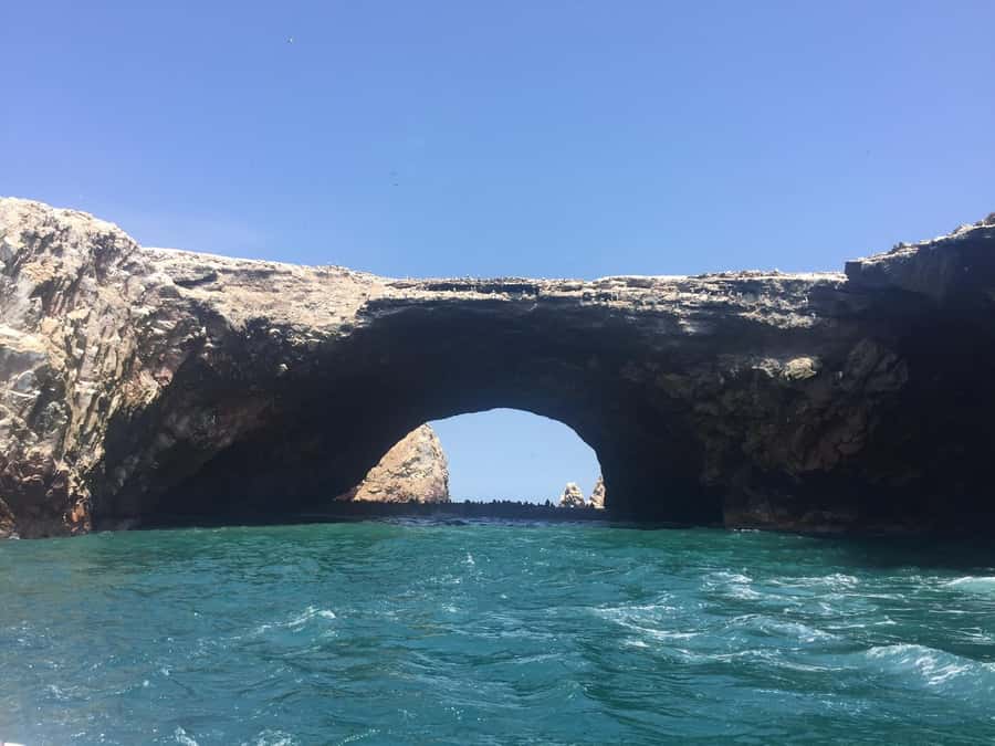 From Lima: Ballestas Islands, Huacachina, and Vineyard Tour - The guides make a real difference