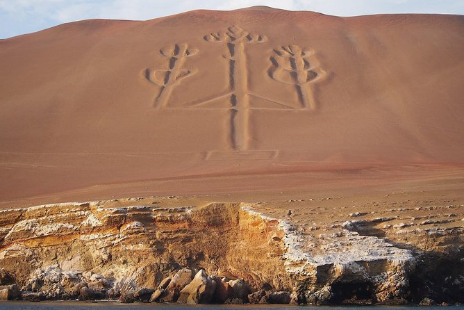 From Lima: Ballestas, Nazca Lines & Huacachina Oasis - Ballestas Islands: wildlife on a shared speedboat