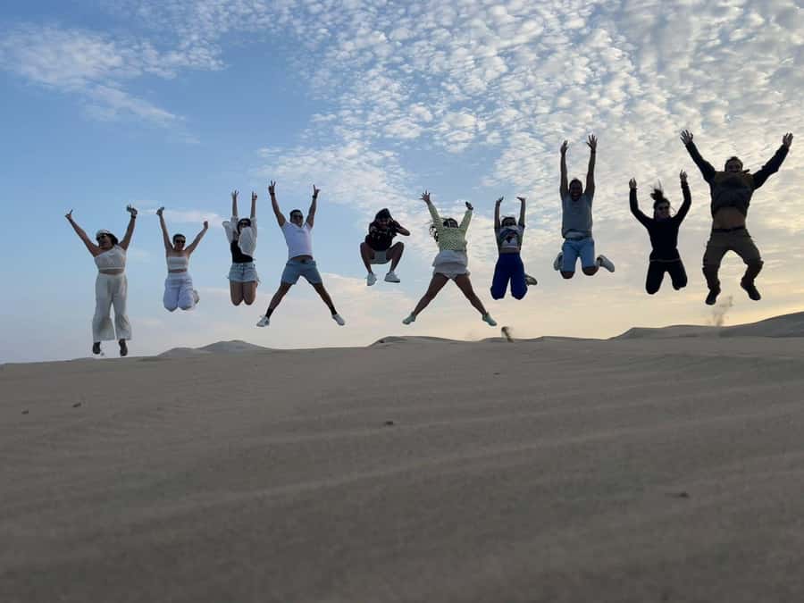 From Lima: Day trip to Paracas, Ica and Oasis Huacachina - Ballestas Islands and the mystery of El Candelabro