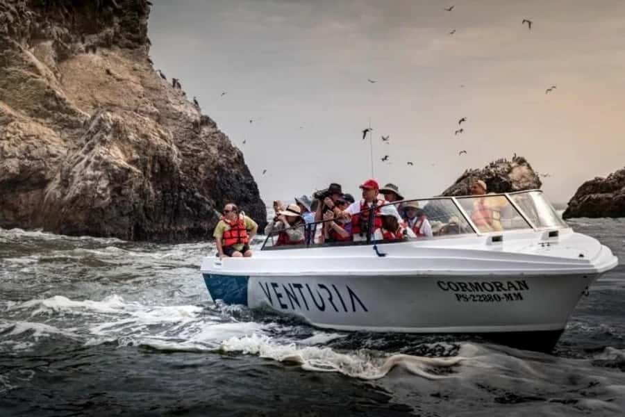 From Lima: Day trip to Paracas, Ica and Oasis Huacachina - Who will enjoy this Peru coast combination?