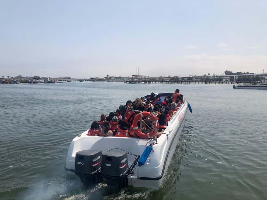 From Lima: Day Trip to Paracas, Ica & Oasis Huacachina - Leaving Lima before sunrise