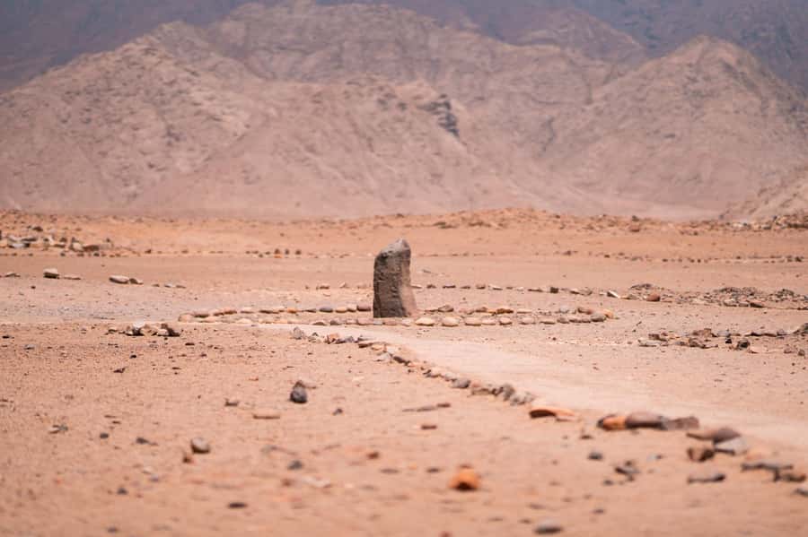 From Lima: Discover the Ancient Sites Caral & Bandurria - What the guide and driver add