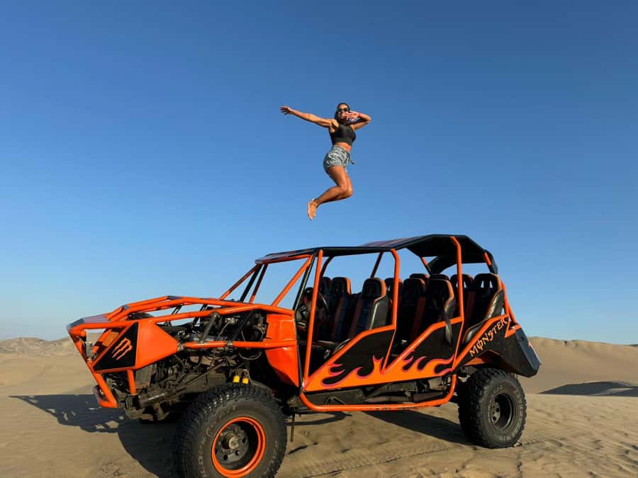 From Lima: Full Day Private All Inclusive Paracas, Ica. - Key points at a glance