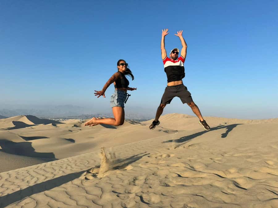 From Lima: Full Day Private All Inclusive Paracas, Ica. - Why this day trip works from Lima