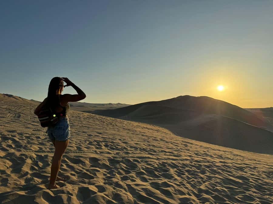 From Lima: Full Day Private All Inclusive Paracas, Ica. - Ballestas Islands and the Candelabra