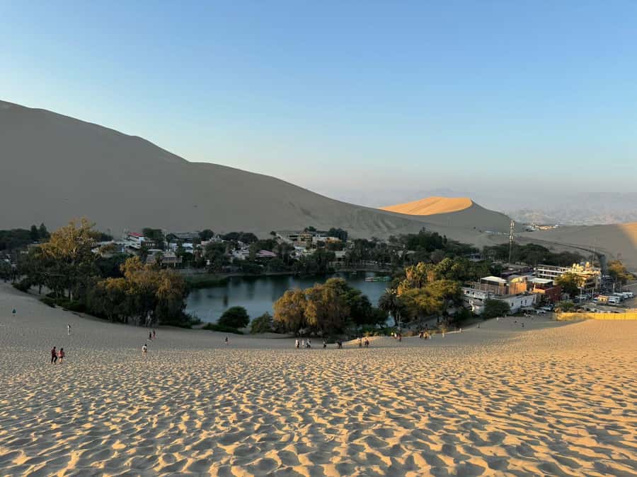From Lima: Full Day Private All Inclusive Paracas, Ica. - What the $210 price includes
