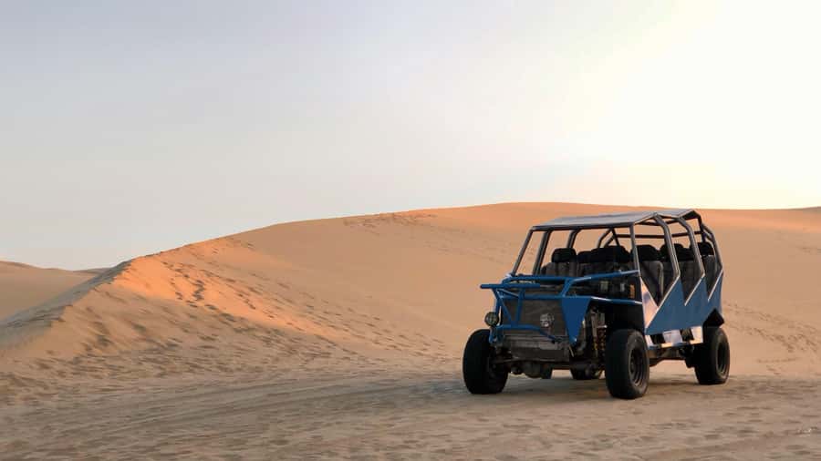 From Lima: Full Day to Paracas and Huacachina Desert Oasis - Lunch and pisco at Nieto winery