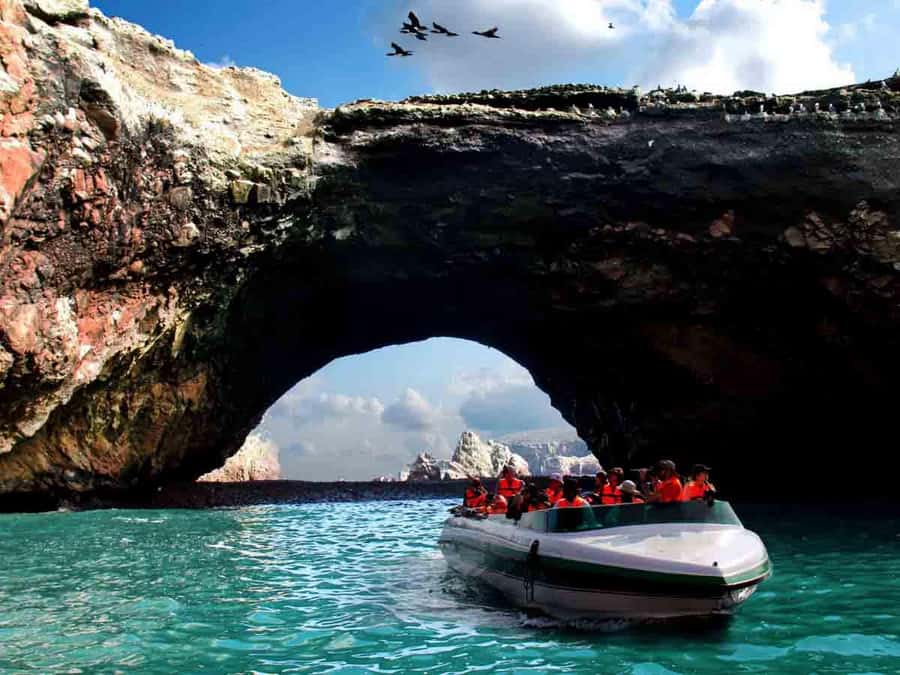 From Lima: Full Day to Paracas and Huacachina Desert Oasis - Guides, language, and organization