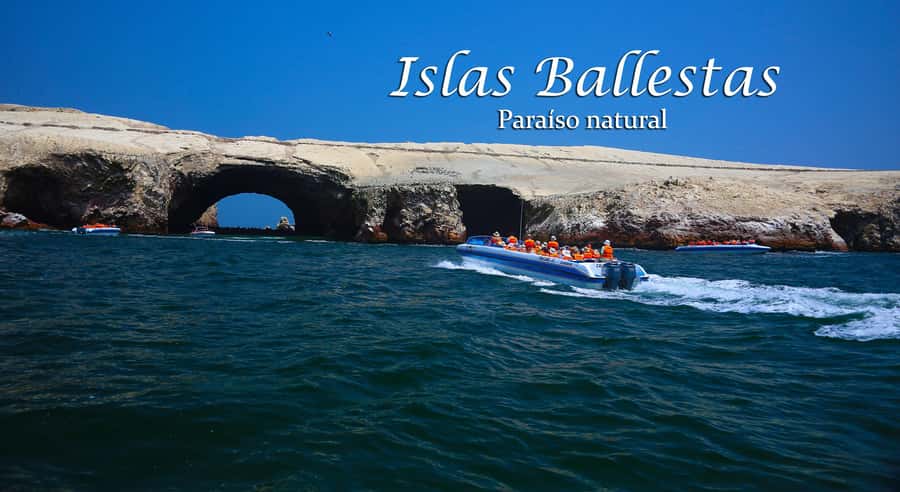 From Lima: Full Day Tour (Paracas + Huacachina) - How the language support works in practice