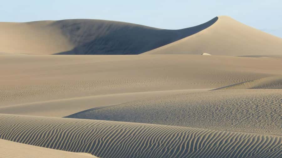 From Lima: Huacachina Oasis & Ballestas Island - ENGL / ESPA - Who should book this experience?