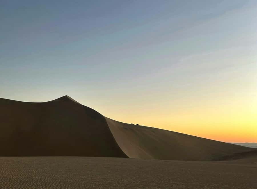 From Lima: Huacachina Oasis & Ballestas Island - ENGL / ESPA - A 45-minute buggy and sandboarding run