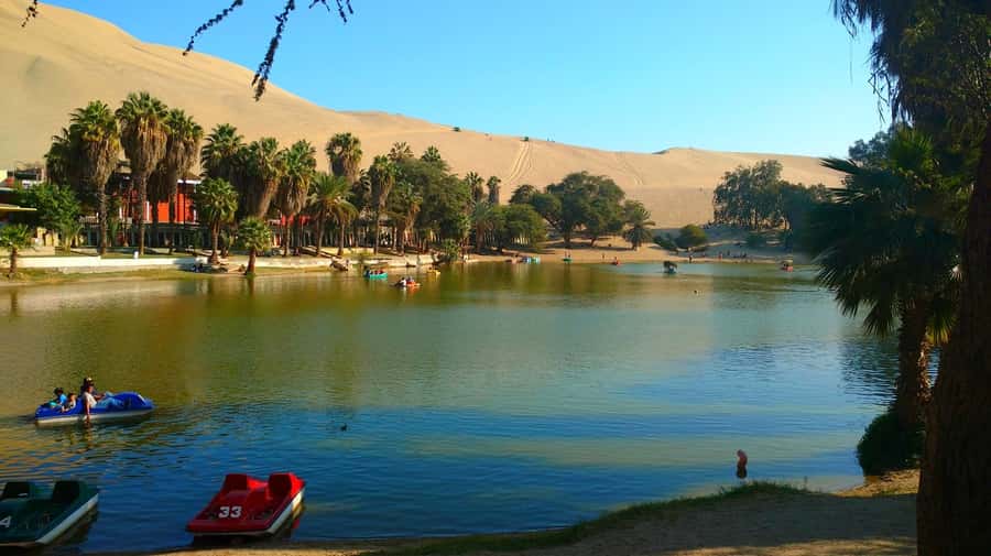 From Lima: Huacachina Oasis Tour, Winery & Desert Sunset - Key points to know before booking