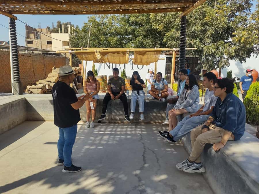 From Lima: Huacachina Oasis Tour, Winery & Desert Sunset - Value, organization, and the mixed experience