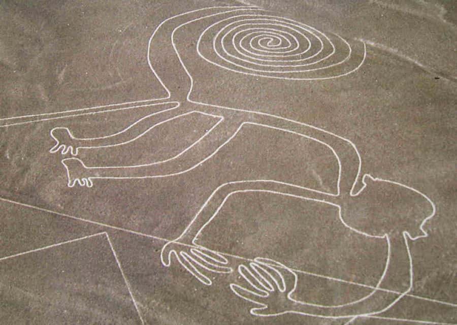From Lima: Nazca Lines Flight with Huacachina Oasis Tour - How the private-group format affects the day