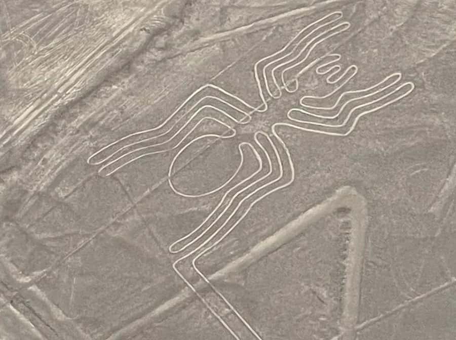 From Lima: Nazca Lines Flight with Huacachina Oasis Tour - What to pack for sand, sun, and altitude-free viewing