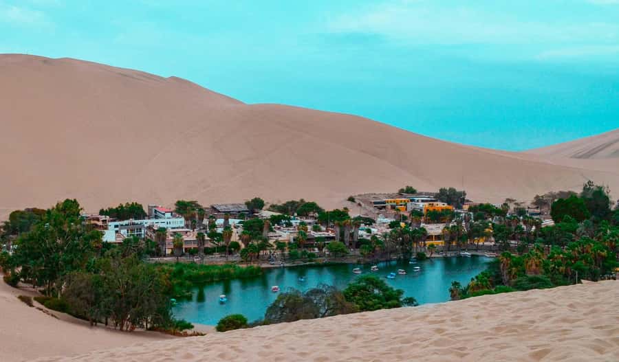From Lima: Paracas and Huacachina Day Trip with Buggy Ride - The buggy ride and sandboarding