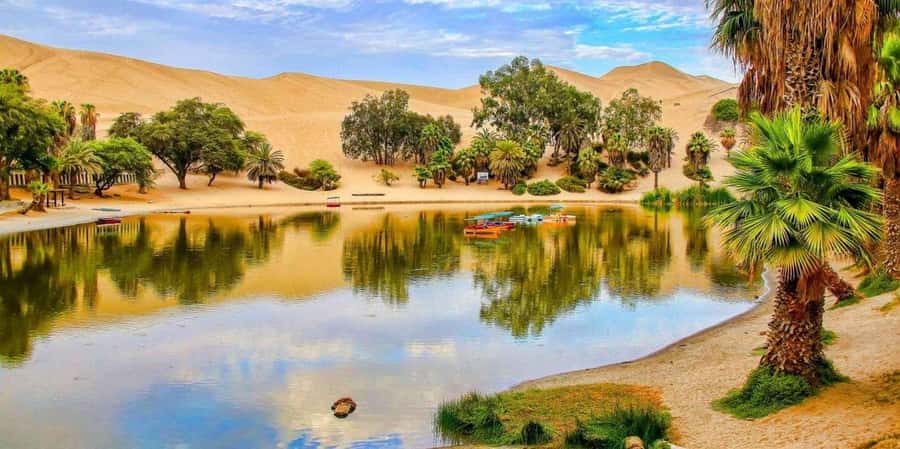 From Lima: Paracas and Huacachina Guided Desert Oasis Trip - Lunch and pisco at NIETO Winery