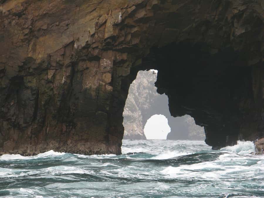 From Lima: Paracas and Huacachina Oasis Full Day Tour - Who should book this day trip