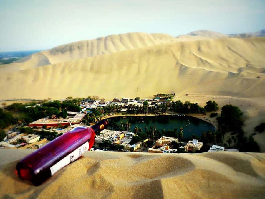 From Lima:Paracas Ballestas Islands and Ica Oasis 1 day Tour - Key points to know before booking