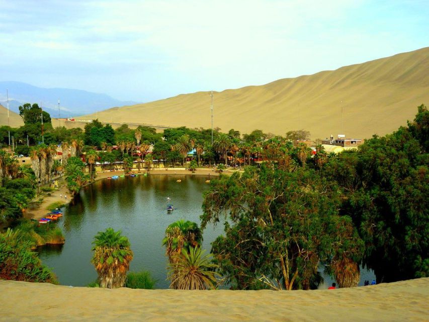 From Lima:Paracas Ballestas Islands and Ica Oasis 1 day Tour - The winery stop: useful tasting, limited farm visit