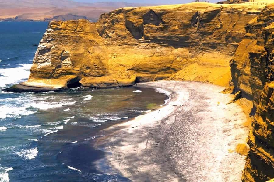 From Lima:Paracas Ballestas Islands and Ica Oasis 1 day Tour - Huacachina: palms, dunes, and optional thrills