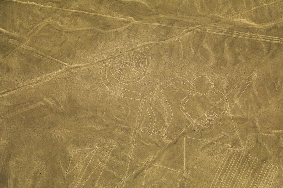From Nazca: 35-Minute Flight Over Nazca Lines - Waiting time and the return transfer