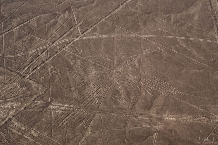 From Nazca: 35-Minute Flight Over Nazca Lines - How much value do you get for $125?