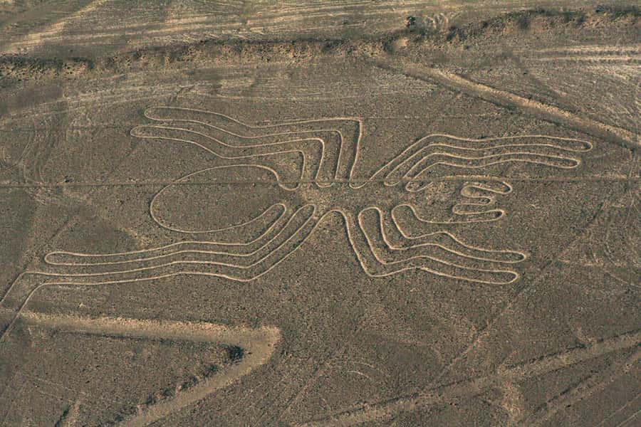 From Nazca: Flight in a light aircraft over the Nazca Lines - Key Points to Know Before You Fly