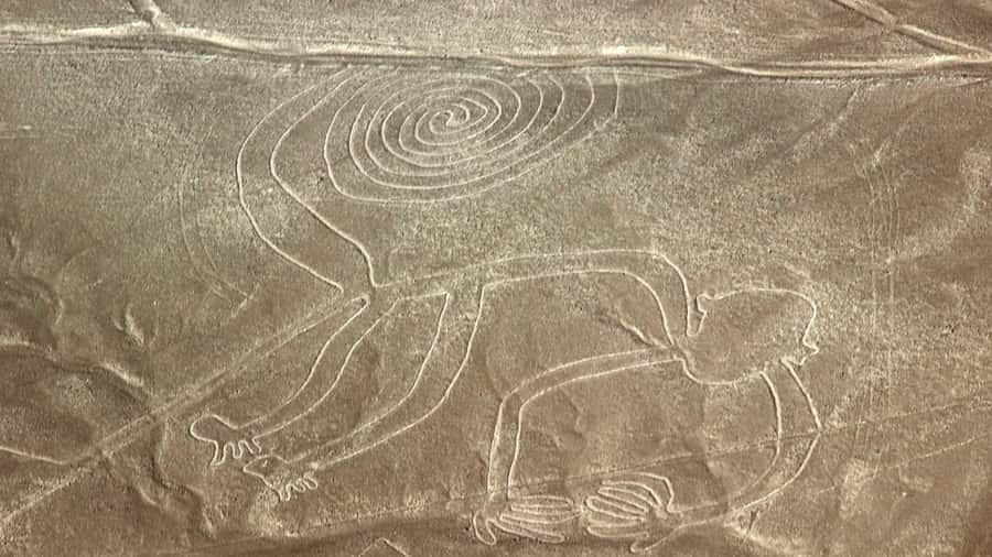From Nazca: Flight in a light aircraft over the Nazca Lines - Why Seeing the Nazca Lines From the Air Matters