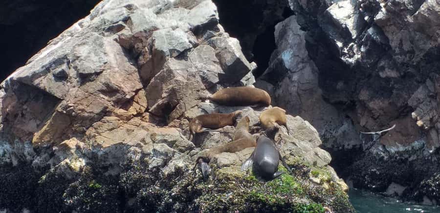 From Paracas: Ballestas Island Cruise & Paracas Reserve Tour - Playa Roja and the strange colors of Paracas