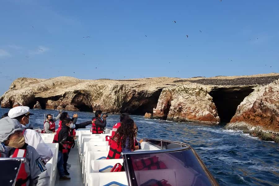 From Paracas: Ballestas Islands & Paracas National Reserve - Guides can make or break the reserve portion