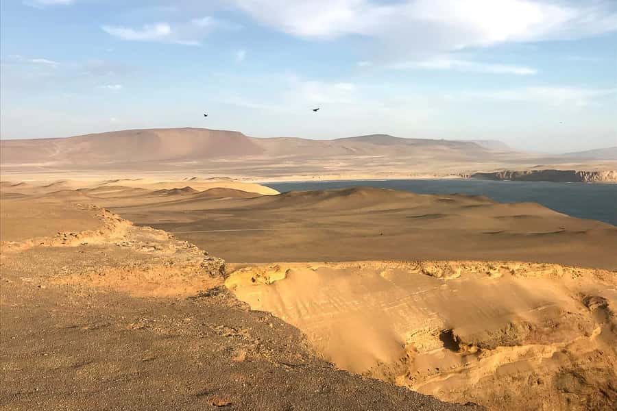From Paracas: Ballestas Islands & Paracas National Reserve - A short café break between sea and desert