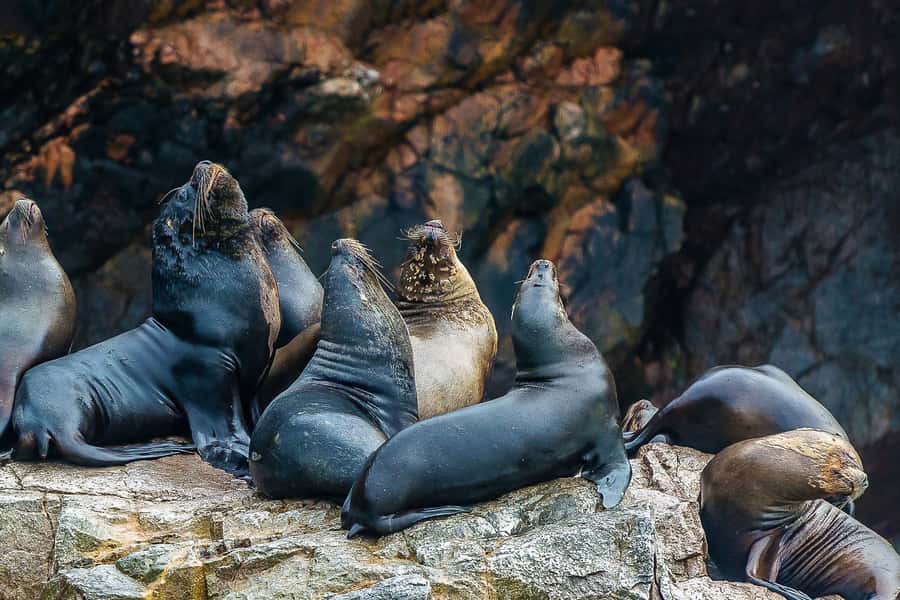 From Paracas: Ballestas Islands & Paracas National Reserve - Entering Paracas National Reserve