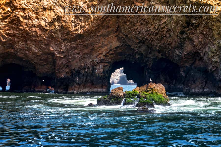 From Paracas: Ballestas Islands tour all Inclusive - Key points to know before you book