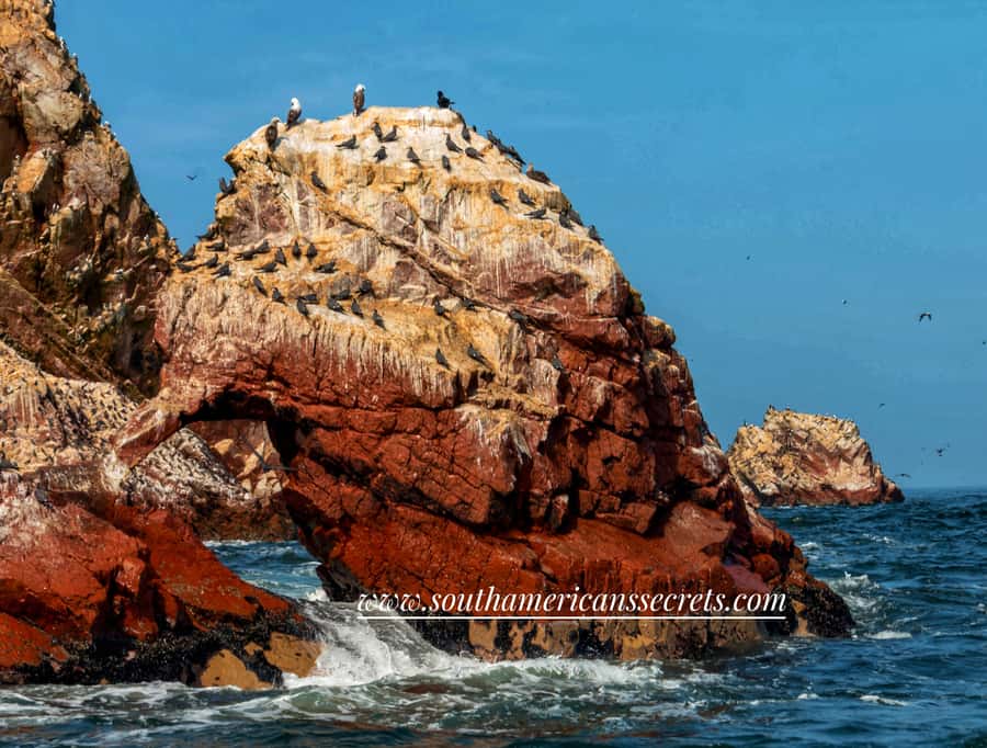 From Paracas: Ballestas Islands tour all Inclusive - Why this $17 boat trip offers good value