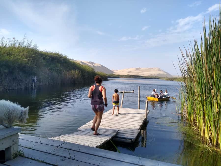 From Paracas: Mini Buggy Tour & Sandboarding at Oasis - Timing, comfort, and what to bring