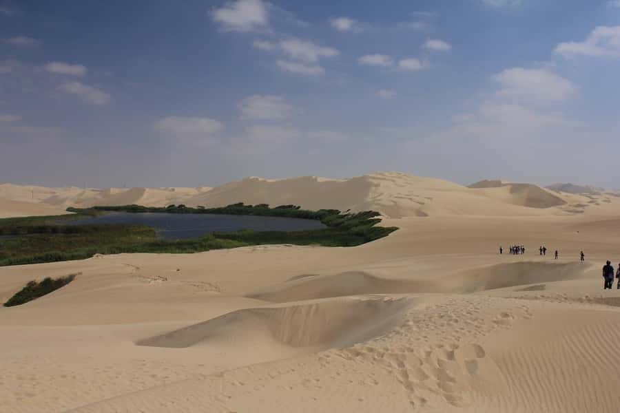 From Paracas: Mini Buggy Tour & Sandboarding at Oasis - Who should book this desert outing?