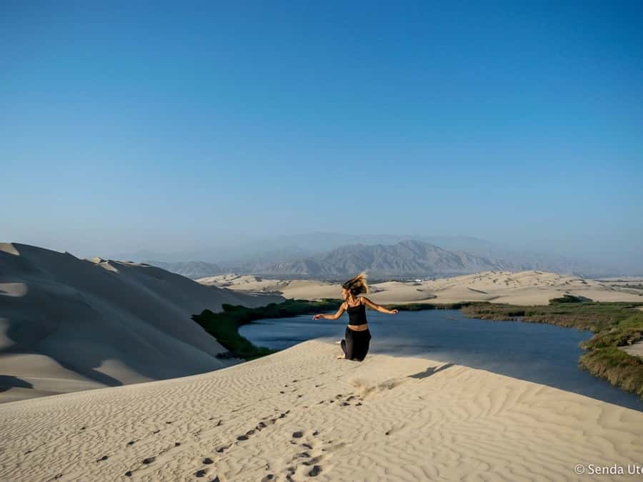 From Paracas: Mini Buggy Tour & Sandboarding at Oasis - Final verdict: a strong mix of sand and water