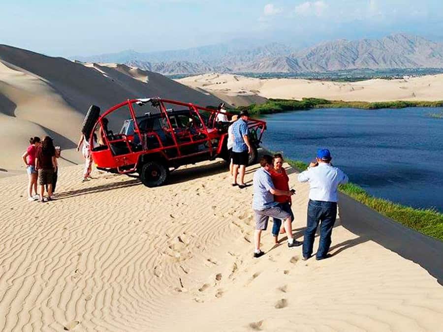 From Paracas: Mini Buggy Tour & Sandboarding at Oasis - Crossing dunes in a 4x4 tubular vehicle