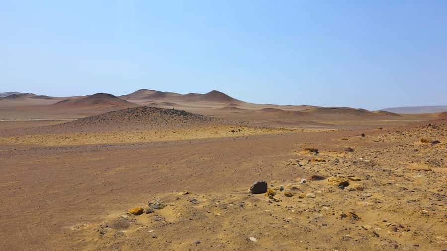 From Paracas: Paracas National Reserve Private Tour - Key points to know before you go