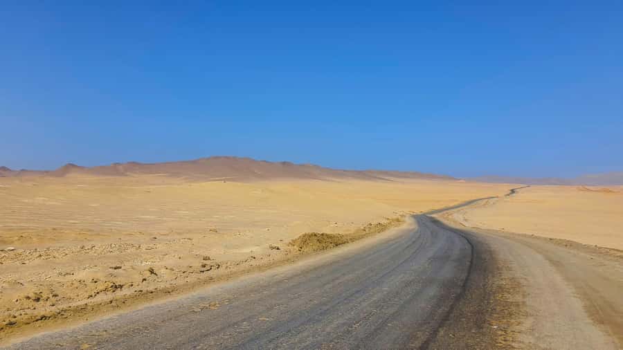 From Paracas: Paracas National Reserve Private Tour - Why the Paracas Reserve is worth your morning