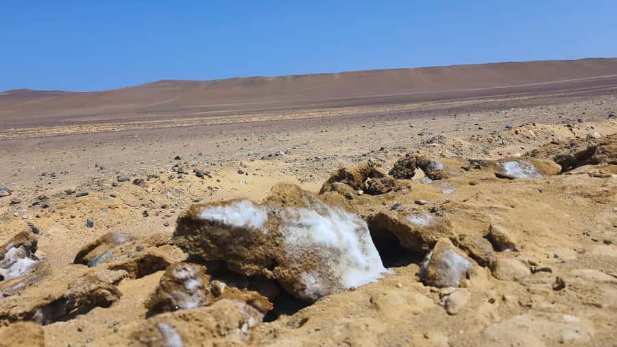 From Paracas: Paracas National Reserve Private Tour - The visitor center and the protected coast