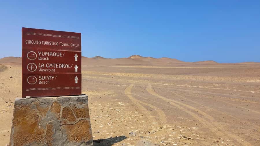 From Paracas: Paracas National Reserve Private Tour - Playa Roja and Lagunillas Beach