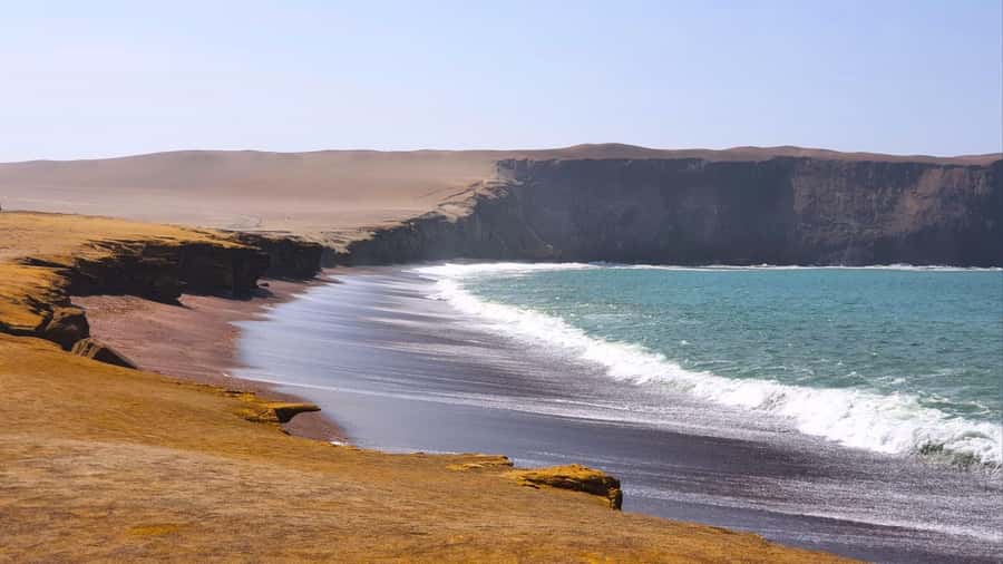 From Paracas: Paracas National Reserve Private Tour - What the 48-dollar price really includes