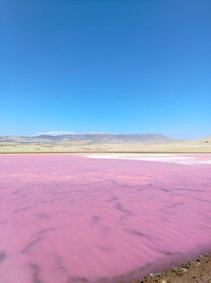 From Paracas: Paracas National Reserve Private Tour - Hotel pickup from Paracas or Pisco