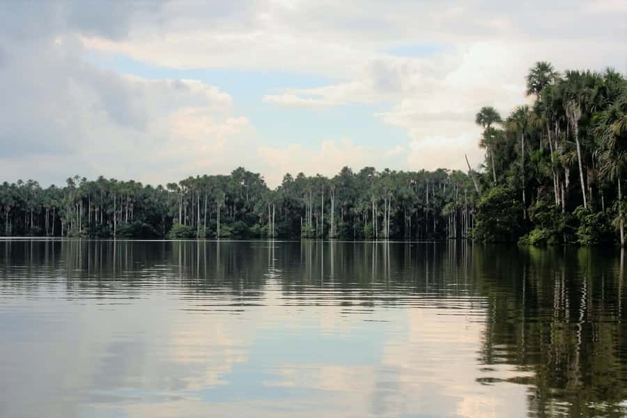 From Puerto Maldonado - Tambopata 4D/3N - Key points to know before you book