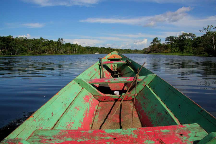 From Puerto Maldonado - Tambopata 4D/3N - Lodges, meals, and guiding