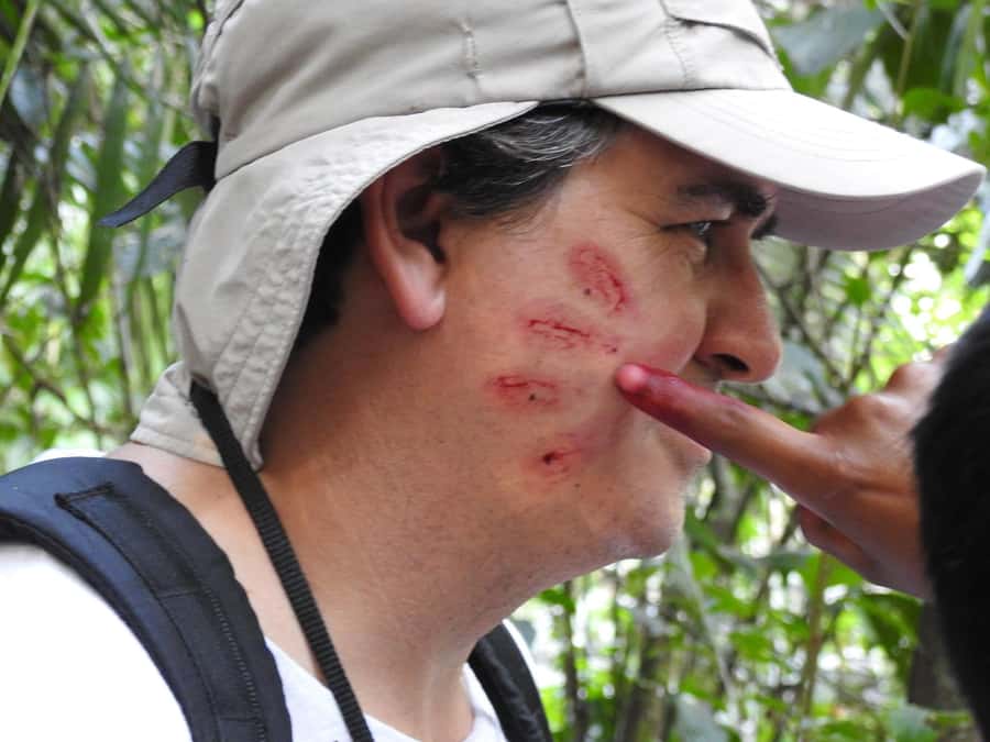 From Puerto Maldonado: Tambopata National Reserve 3-Day Tour - Hiking into Sandoval Lake on day two